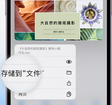 义乌apple维修中心分享iPhone文件应用中存储和找到下载文件