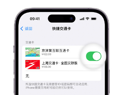 义乌apple维修点分享iPhone上更换Apple Pay快捷交通卡手绘卡面 