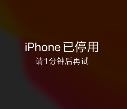 义乌苹果手机维修分享:iPhone 显示“不可用”或“已停用”怎么办？还能保留数据吗？ 