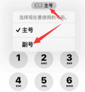 义乌苹果14维修店分享iPhone 14 Pro Max使用副卡打电话的方法 