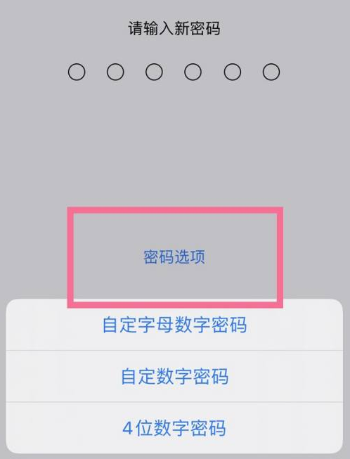 义乌苹果14维修分享iPhone 14plus设置密码的方法 