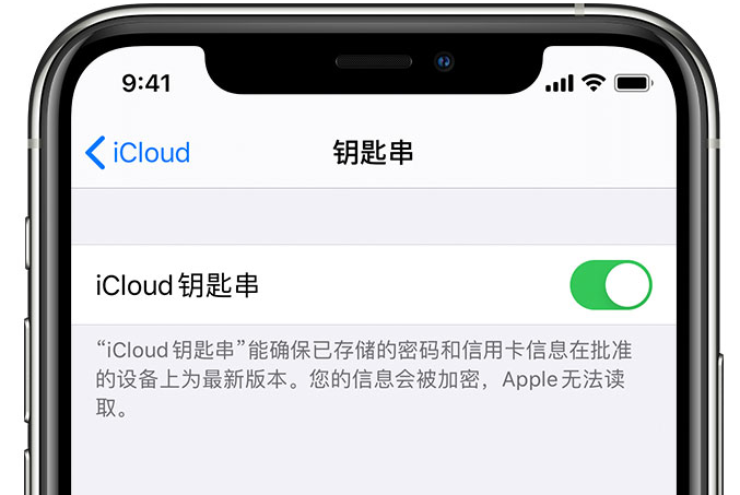 义乌苹果手机维修分享在 iPhone 上开启 iCloud 钥匙串之后会储存哪些信息 