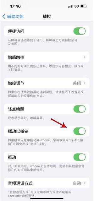 义乌苹果手机维修分享iPhone手机如何设置摇一摇删除文字 